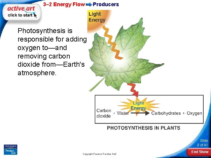 3– 2 Energy Flow Producers Photosynthesis is responsible for adding oxygen to—and removing carbon