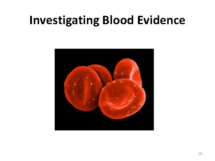 Investigating Blood Evidence 10 