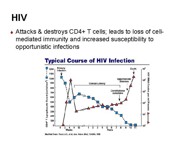 HIV Attacks & destroys CD 4+ T cells; leads to loss of cellmediated immunity