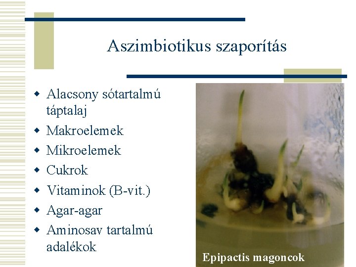 Aszimbiotikus szaporítás w Alacsony sótartalmú táptalaj w Makroelemek w Mikroelemek w Cukrok w Vitaminok