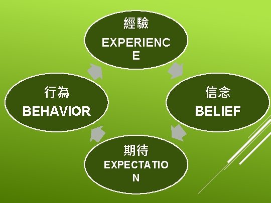 經驗 EXPERIENC E 行為 BEHAVIOR 信念 BELIEF 期待 EXPECTATIO N 