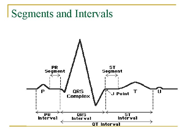 Segments and Intervals 