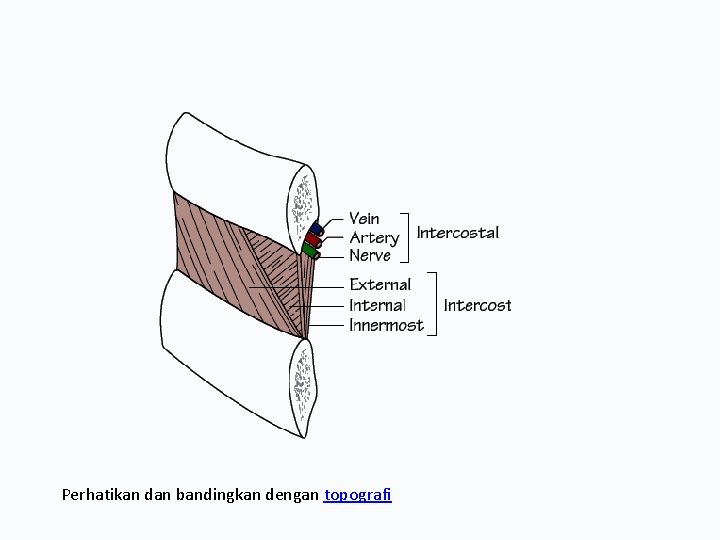 Perhatikan dan bandingkan dengan topografi 