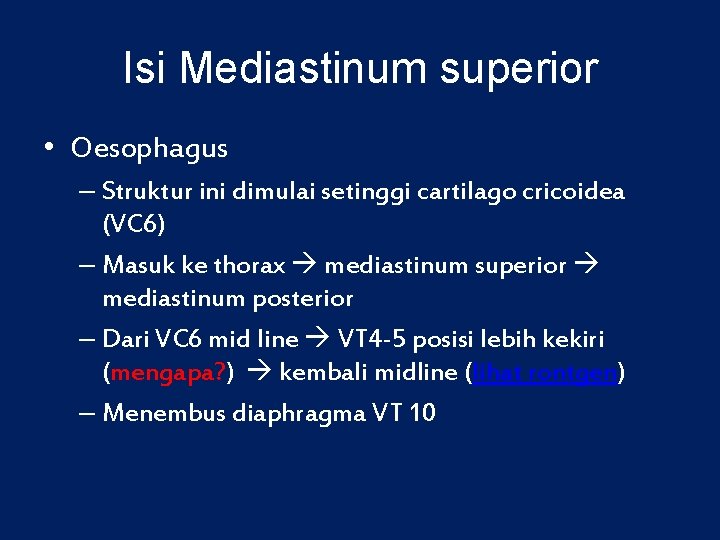 Isi Mediastinum superior • Oesophagus – Struktur ini dimulai setinggi cartilago cricoidea (VC 6)