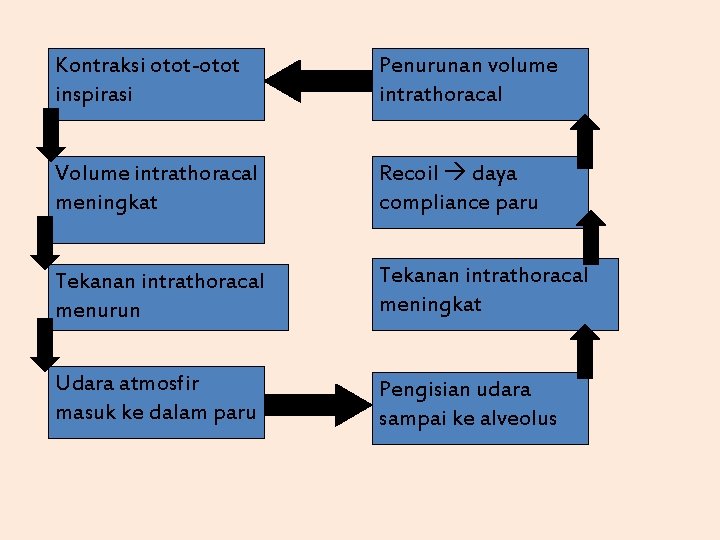 Kontraksi otot-otot inspirasi Penurunan volume intrathoracal Volume intrathoracal meningkat Recoil daya compliance paru Tekanan