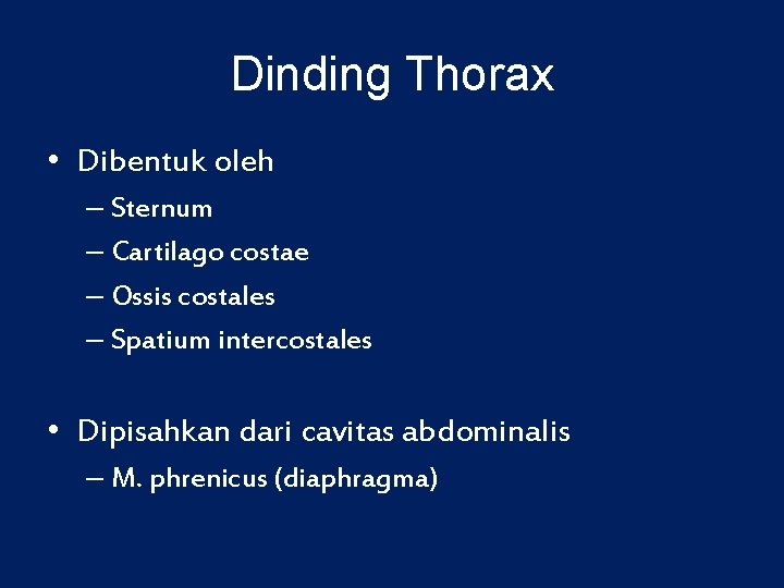 Dinding Thorax • Dibentuk oleh – Sternum – Cartilago costae – Ossis costales –