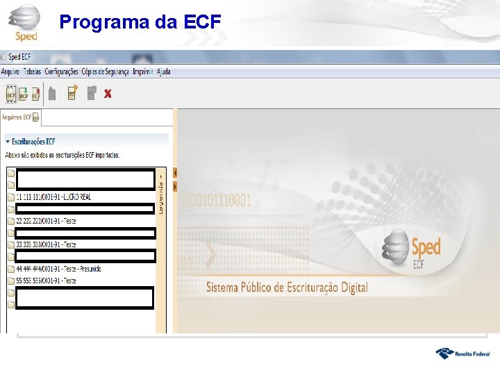 Programa da ECF 