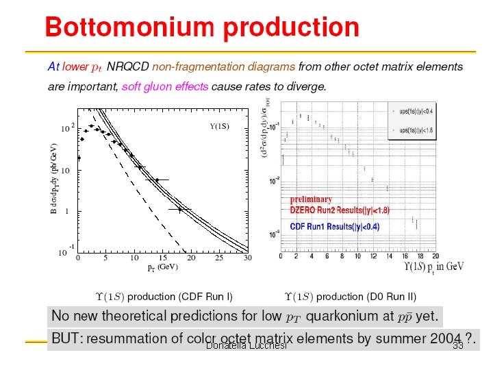 Donatella Lucchesi 33 