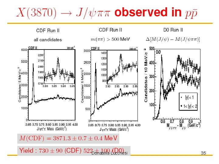 Donatella Lucchesi 35 