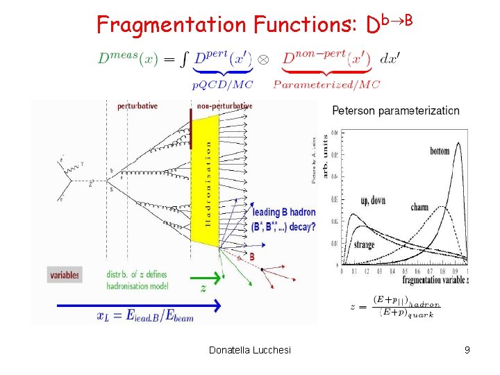 Fragmentation Functions: Db B Donatella Lucchesi 9 