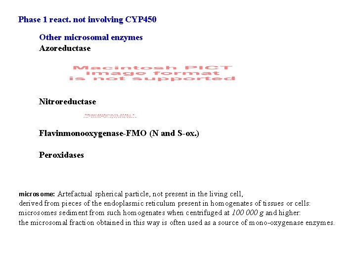 Phase 1 react. not involving CYP 450 Other microsomal enzymes Azoreductase Nitroreductase Flavinmonooxygenase-FMO (N