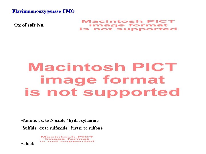 Flavinmonooxygenase-FMO Ox of soft Nu • Amine: ox. to N-oxide / hydroxylamine • Sulfide: