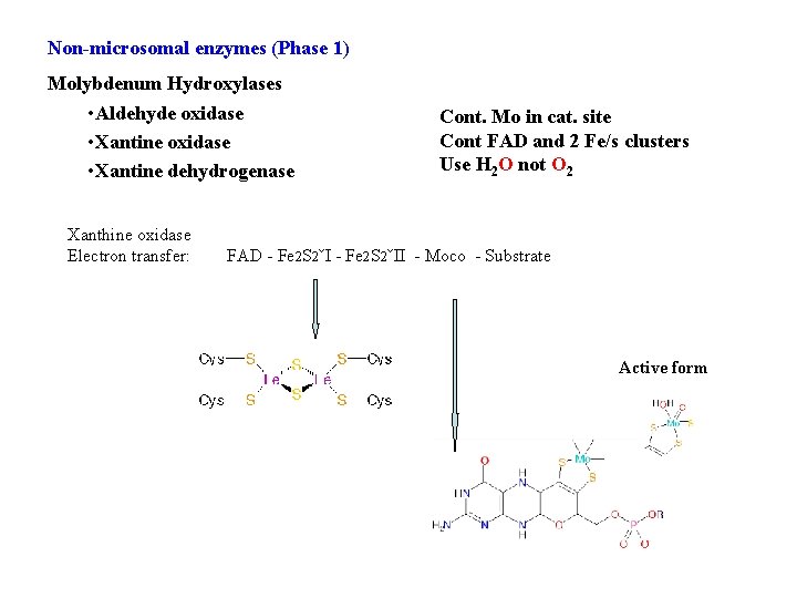 Non-microsomal enzymes (Phase 1) Molybdenum Hydroxylases • Aldehyde oxidase • Xantine dehydrogenase Xanthine oxidase