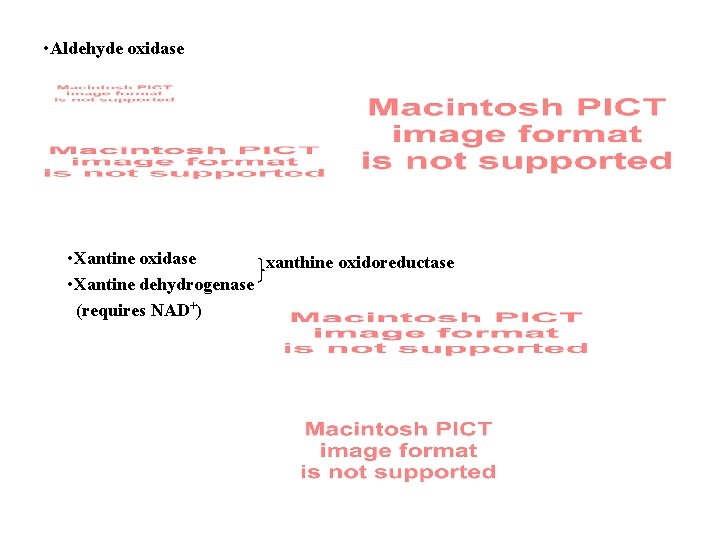  • Aldehyde oxidase • Xantine oxidase xanthine oxidoreductase • Xantine dehydrogenase (requires NAD+)