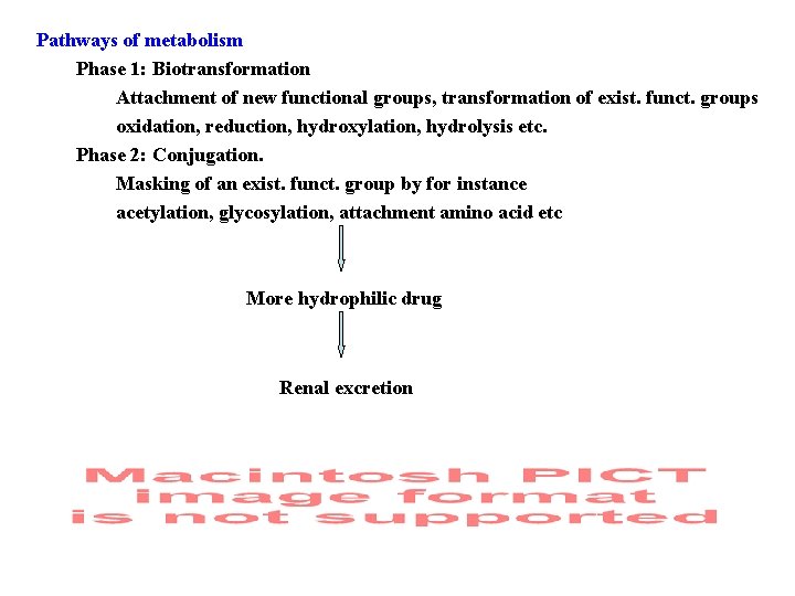 Pathways of metabolism Phase 1: Biotransformation Attachment of new functional groups, transformation of exist.