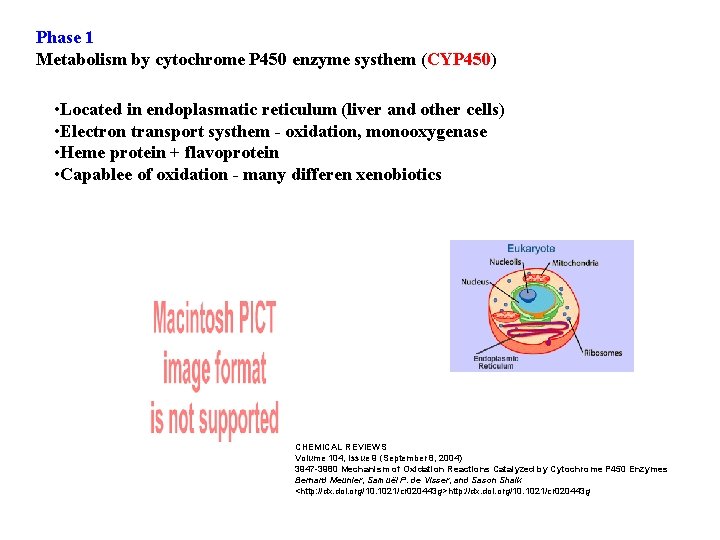 Phase 1 Metabolism by cytochrome P 450 enzyme systhem (CYP 450) • Located in