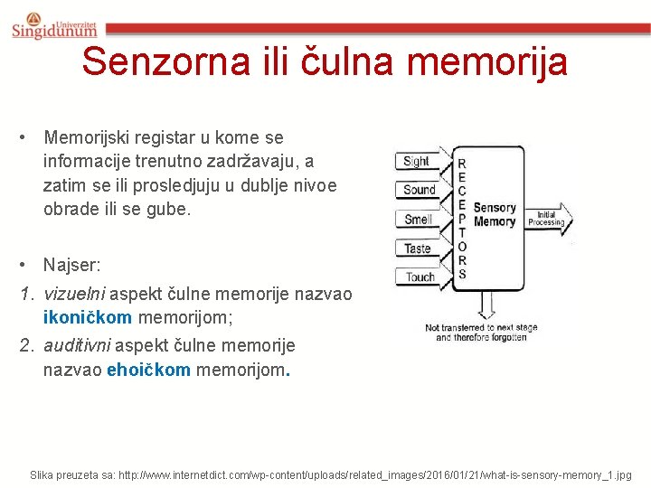 Senzorna ili čulna memorija • Memorijski registar u kome se informacije trenutno zadržavaju, a