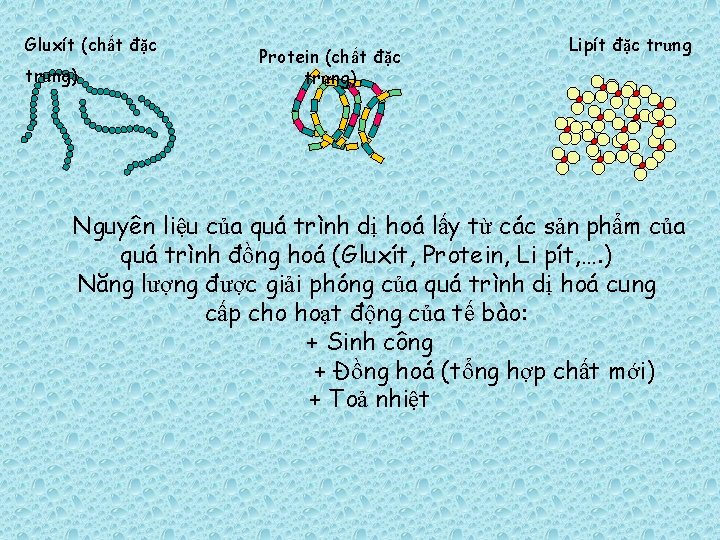 Gluxít (chất đặc trưng) Protein (chất đặc trưng) Lipít đặc trưng Nguyên liệu của