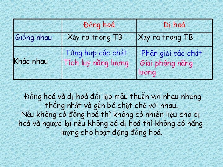 Đồng hoá Giống nhau Khác nhau Xảy ra trong TB Tổng hợp các chất