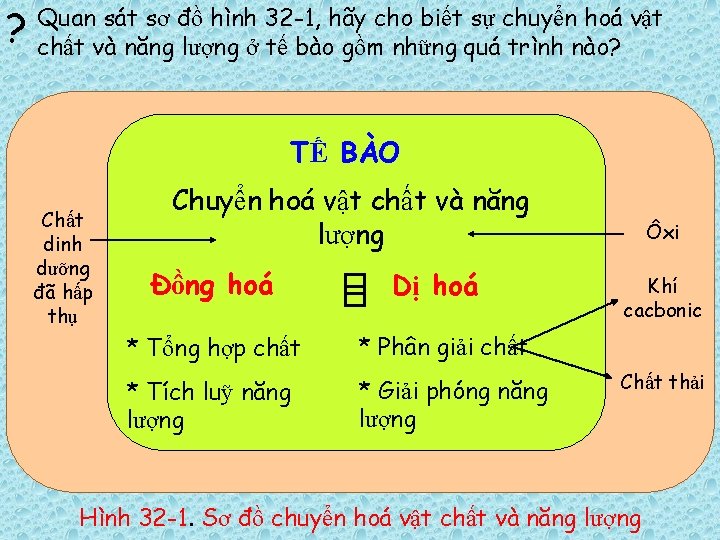 ? Quan sát sơ đồ hình 32 -1, hãy cho biết sự chuyển hoá