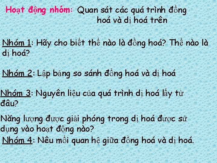 Hoạt động nhóm: Quan sát các quá trình đồng hoá và dị hoá trên