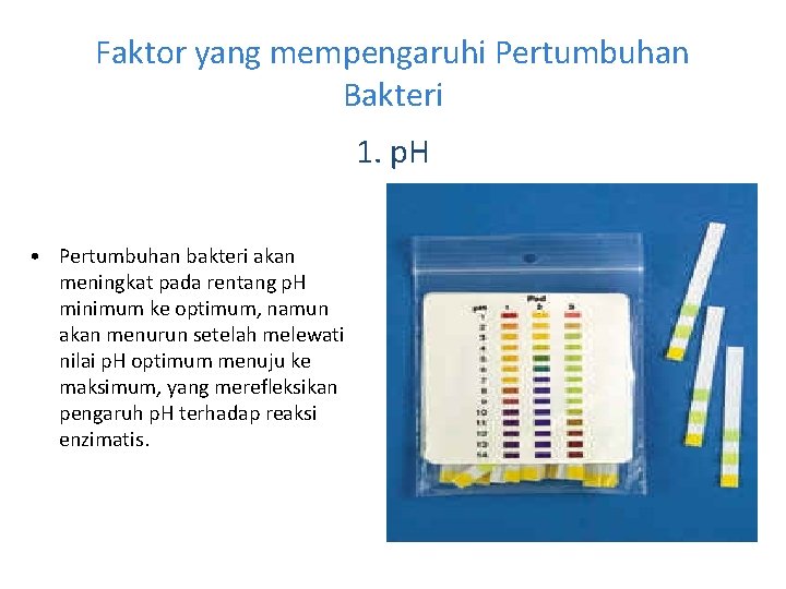 Faktor yang mempengaruhi Pertumbuhan Bakteri 1. p. H • Pertumbuhan bakteri akan meningkat pada