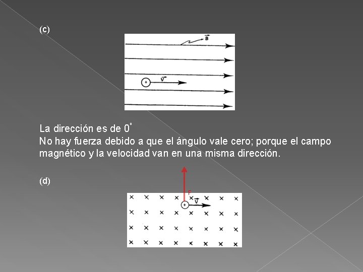 (c) o La dirección es de 0 No hay fuerza debido a que el