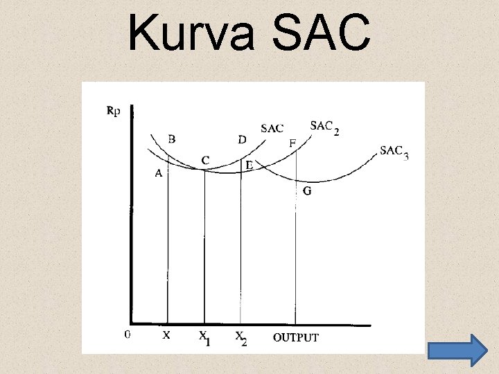 Kurva SAC 