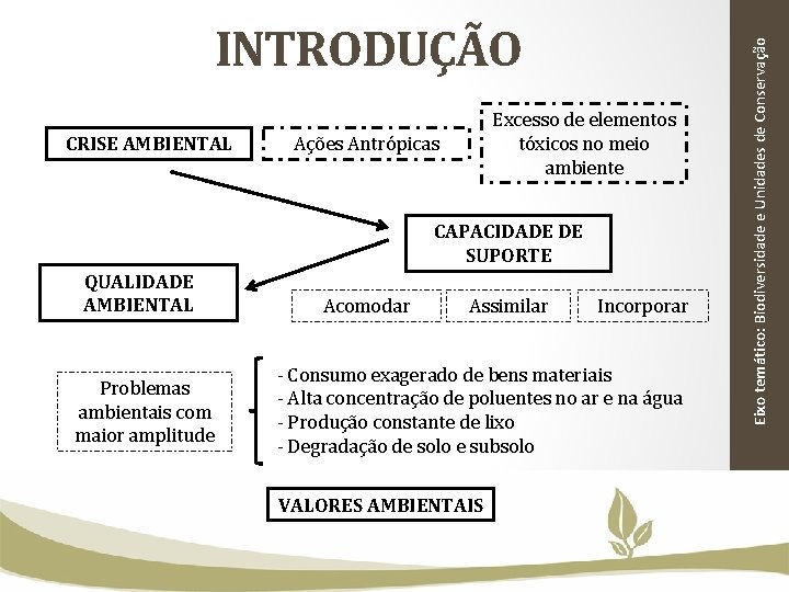 CRISE AMBIENTAL Excesso de elementos tóxicos no meio ambiente Ações Antrópicas CAPACIDADE DE SUPORTE