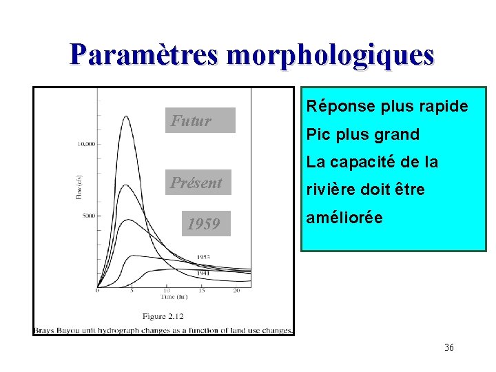 Paramètres morphologiques Futur Réponse plus rapide Pic plus grand La capacité de la Présent