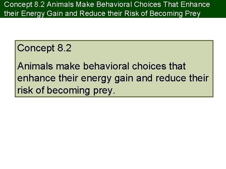 Concept 8. 2 Animals Make Behavioral Choices That Enhance their Energy Gain and Reduce