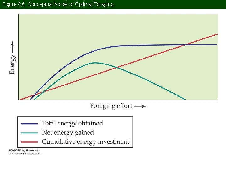 Figure 8. 6 Conceptual Model of Optimal Foraging 