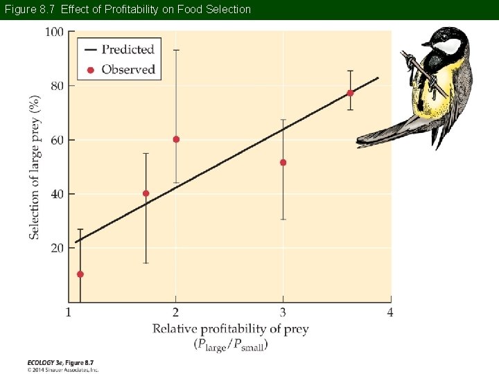Figure 8. 7 Effect of Profitability on Food Selection 