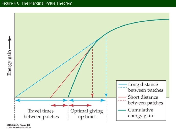 Figure 8. 8 The Marginal Value Theorem 