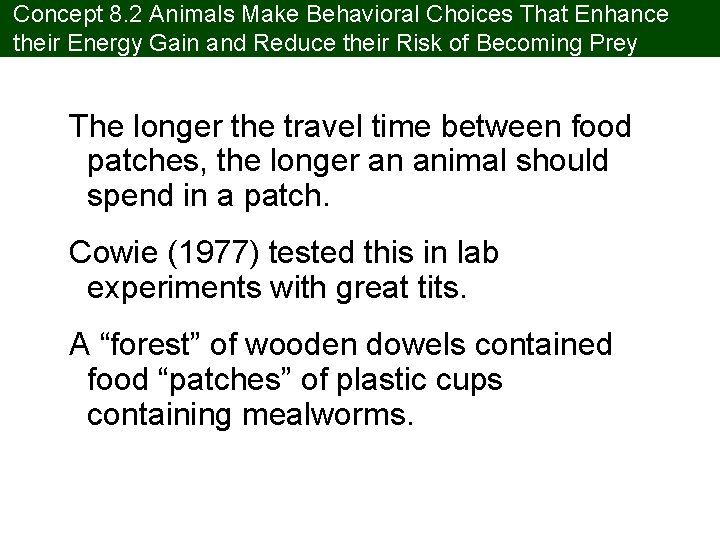 Concept 8. 2 Animals Make Behavioral Choices That Enhance their Energy Gain and Reduce