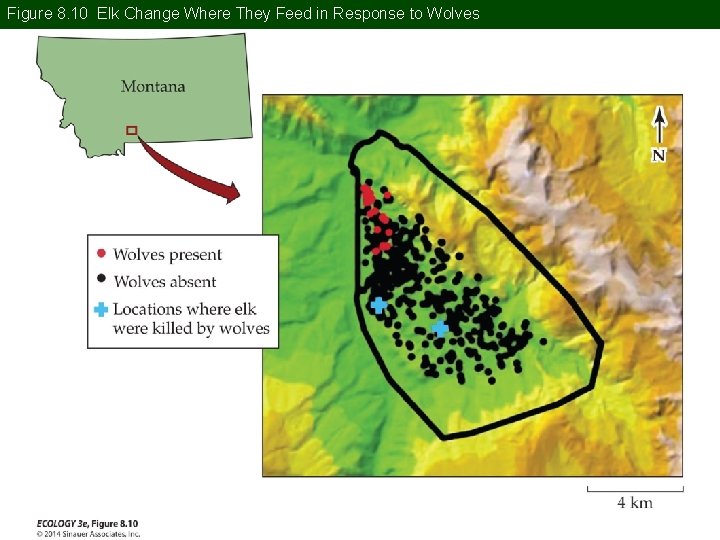 Figure 8. 10 Elk Change Where They Feed in Response to Wolves 