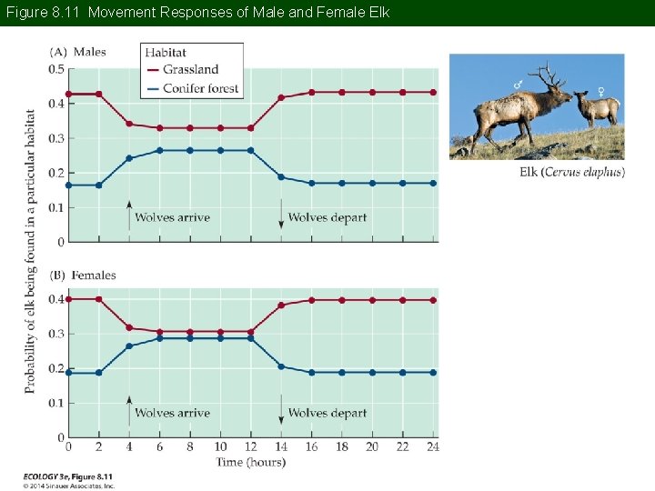 Figure 8. 11 Movement Responses of Male and Female Elk 