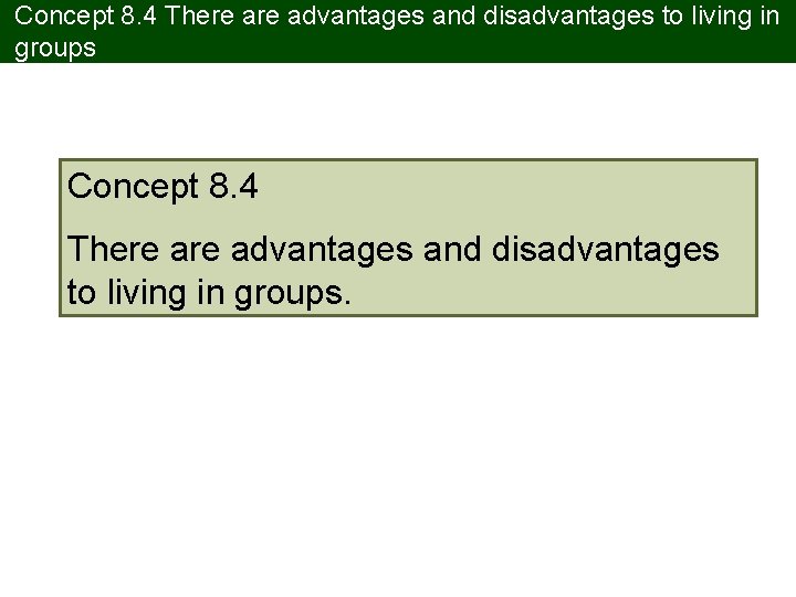 Concept 8. 4 There advantages and disadvantages to living in groups. 
