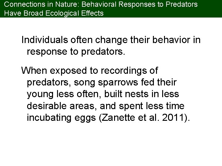 Connections in Nature: Behavioral Responses to Predators Have Broad Ecological Effects Individuals often change