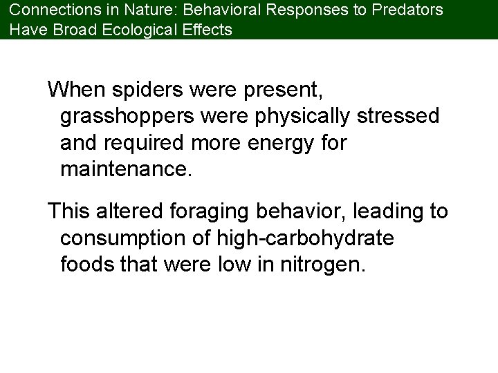 Connections in Nature: Behavioral Responses to Predators Have Broad Ecological Effects When spiders were