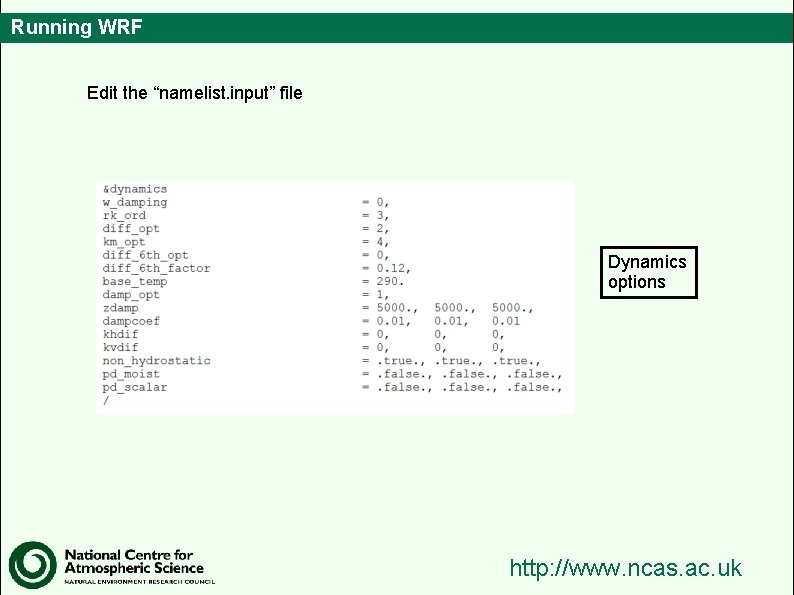 Running WRF Edit the “namelist. input” file Dynamics options http: //www. ncas. ac. uk