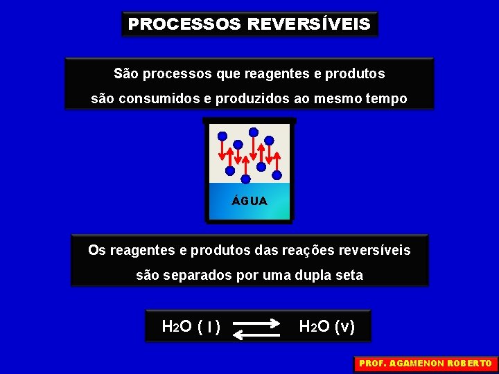 PROCESSOS REVERSÍVEIS São processos que reagentes e produtos são consumidos e produzidos ao mesmo