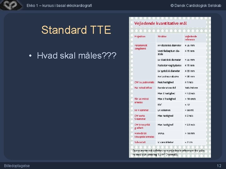 Ekko 1 – kursus i basal ekkokardiografi © Dansk Cardiologisk Selskab Standard TTE •