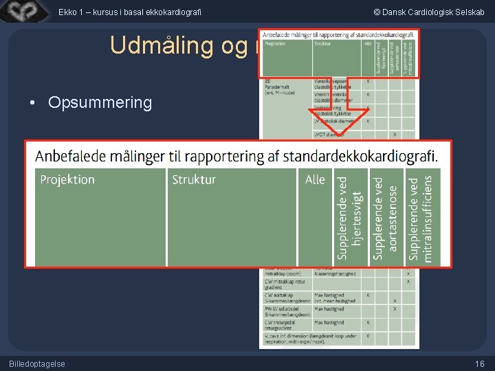 Ekko 1 – kursus i basal ekkokardiografi © Dansk Cardiologisk Selskab Udmåling og rapportering