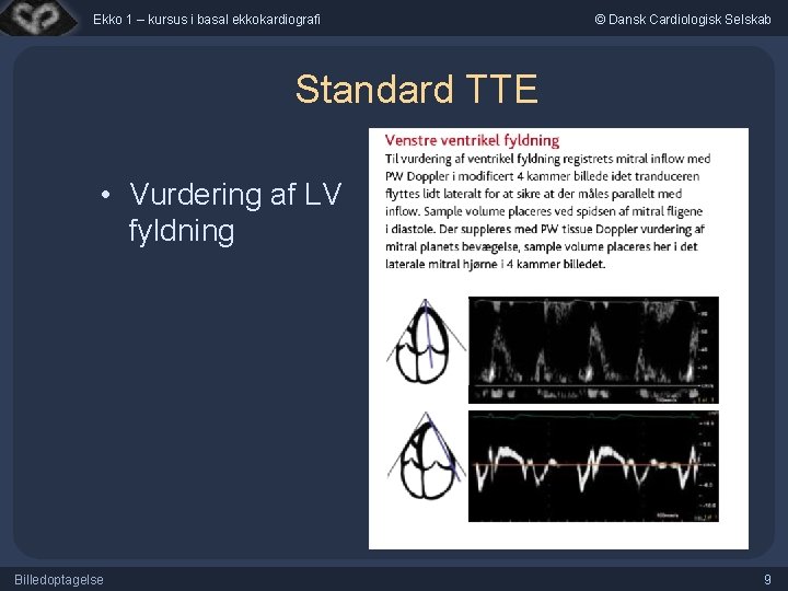 Ekko 1 – kursus i basal ekkokardiografi © Dansk Cardiologisk Selskab Standard TTE •