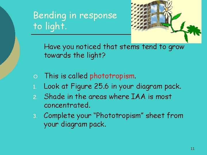 Higher Biology Hormonal Control of Growth in Plants