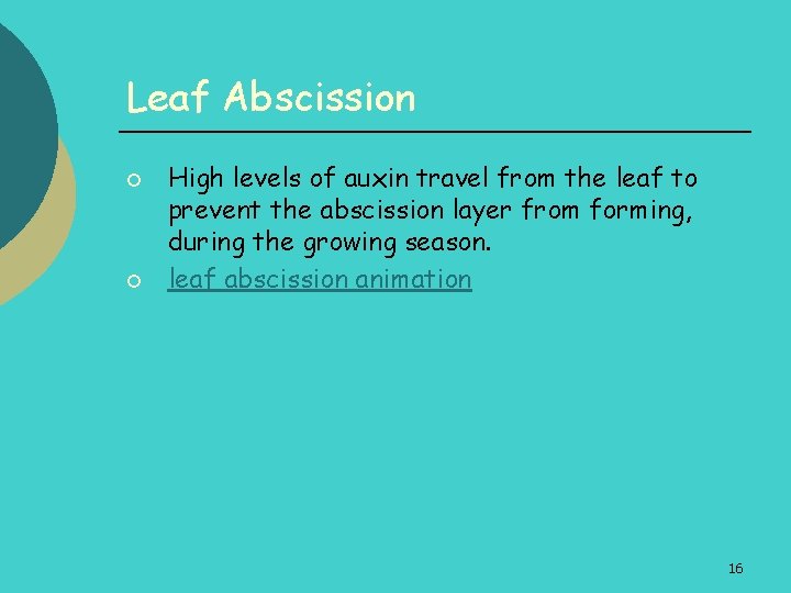Leaf Abscission ¡ ¡ High levels of auxin travel from the leaf to prevent