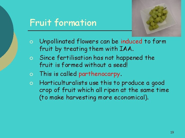Fruit formation ¡ ¡ Unpollinated flowers can be induced to form fruit by treating