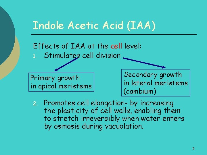 Indole Acetic Acid (IAA) Effects of IAA at the cell level: 1. Stimulates cell