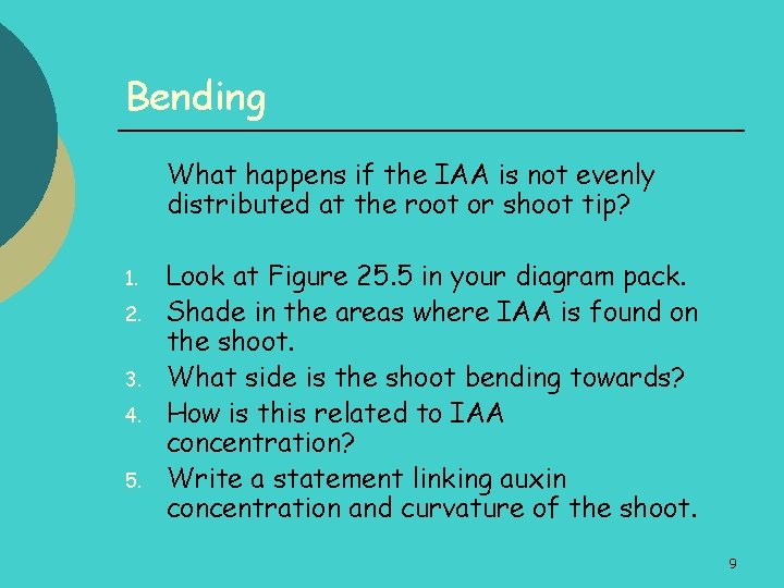 Bending What happens if the IAA is not evenly distributed at the root or